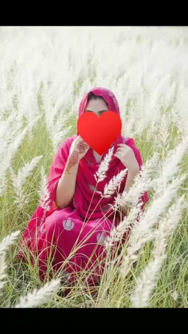 🥰🥰🥰🥰🥰🥰