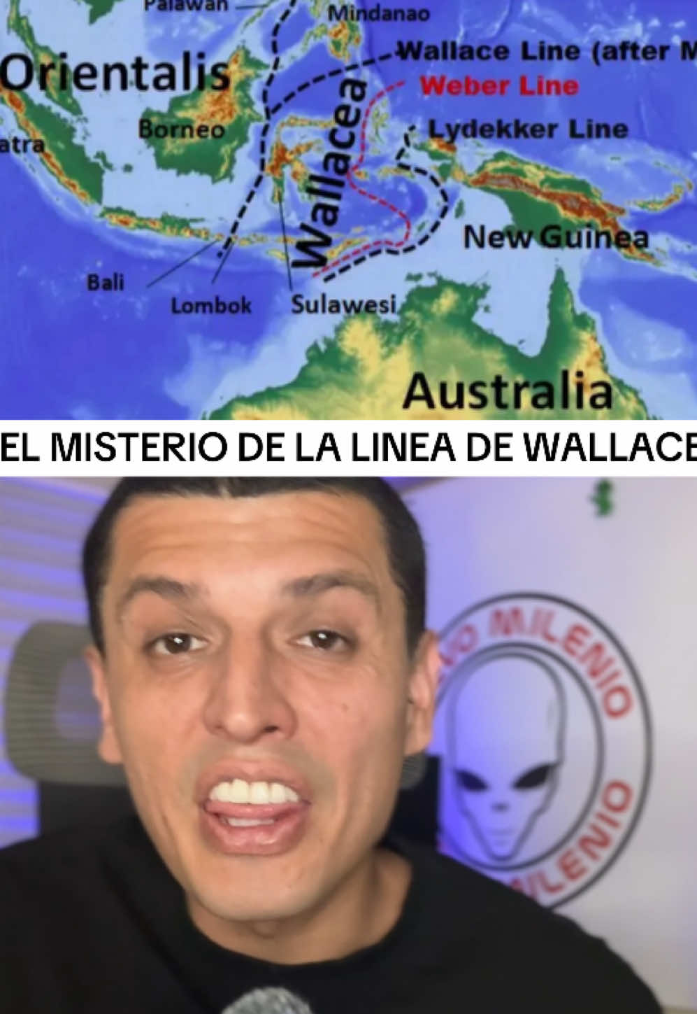 QUE OCULTA LA LINEA DE WALLACE? #nuevomilenio 