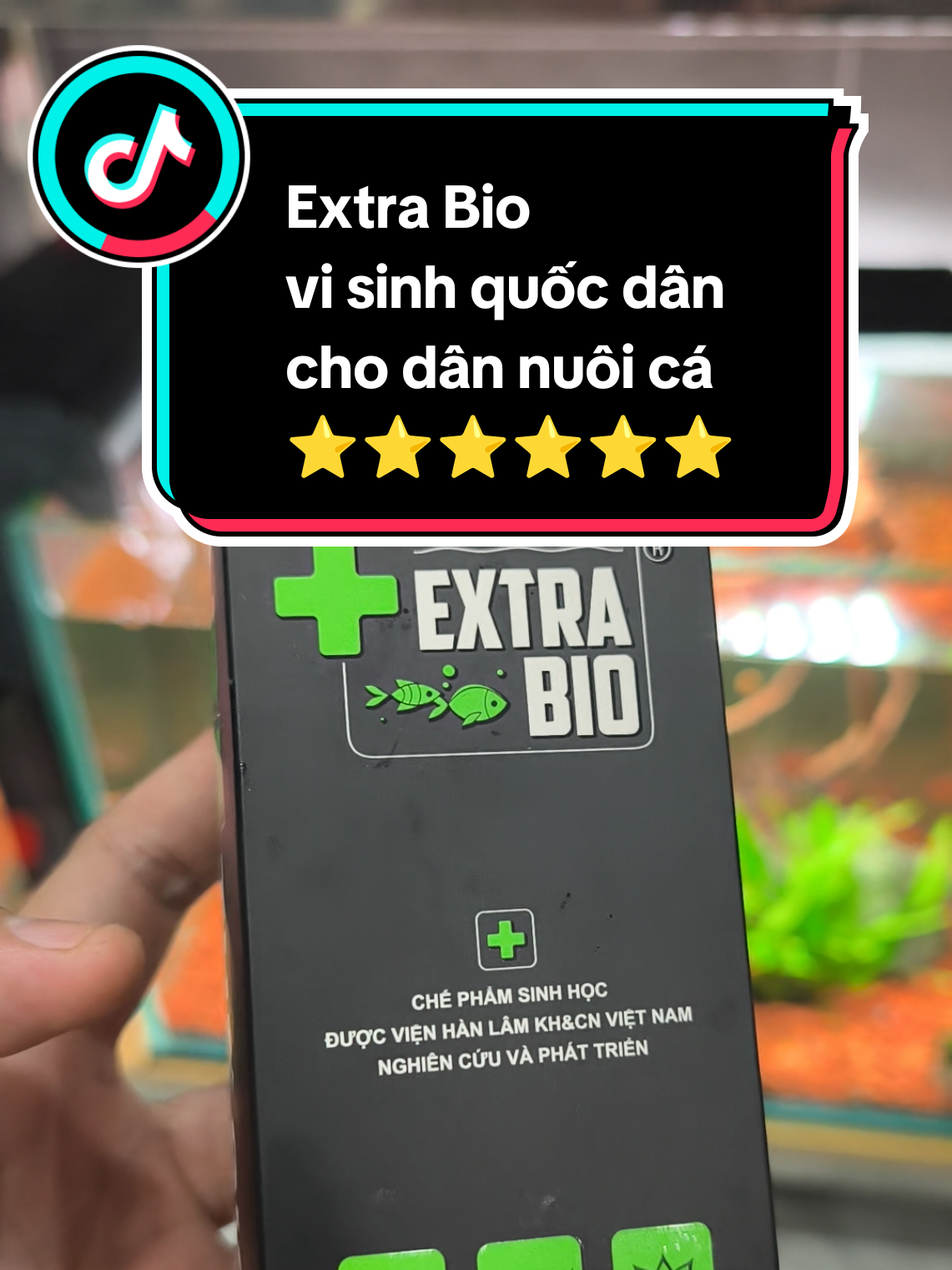 Vi sinh quốc dân Extra Bio , giúp làm trong nước , xử lí hôi tanh , bổ sung hệ vi sinh có lợi cho bề cá #visinhcacanh #visinhbeca #quancacanh #extrabio #visinhextrabio 