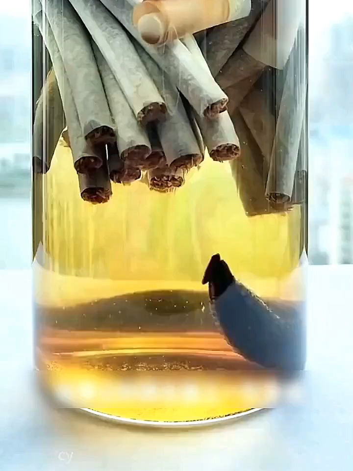 Đầu lọc thuốc 3 cấp – to, vừa, nhỏ đều dùng được Lọc kép, hút êm hơn và sạch hơn~ Có thể rửa tái sử dụng, tiết kiệm lắm!11.6 cy 1