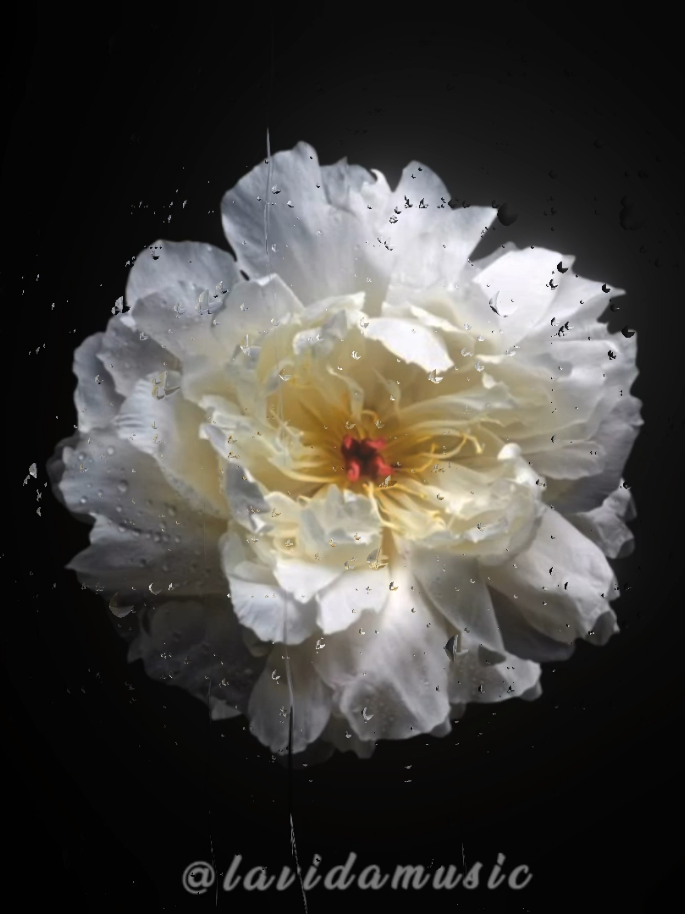 Good for you >> #lyrics #songs #music @𝐅𝐚𝐲𝐲𝐳𝐚 𝐀𝐥𝐬𝐚𝐲𝐞𝐝✍ 