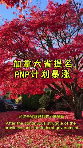 加拿大移泯终于出利好了，PNP绝处逢生#加拿大留学#温哥华日常#加拿大省提名#加拿大移泯