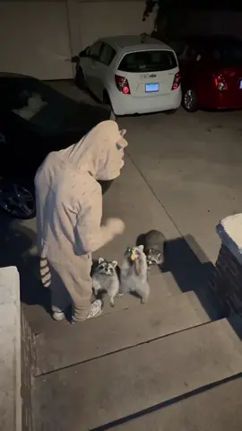 Trick or treat 🦝 🎃  #fyp #halloweencostume #viral #fypシ #tiktok 