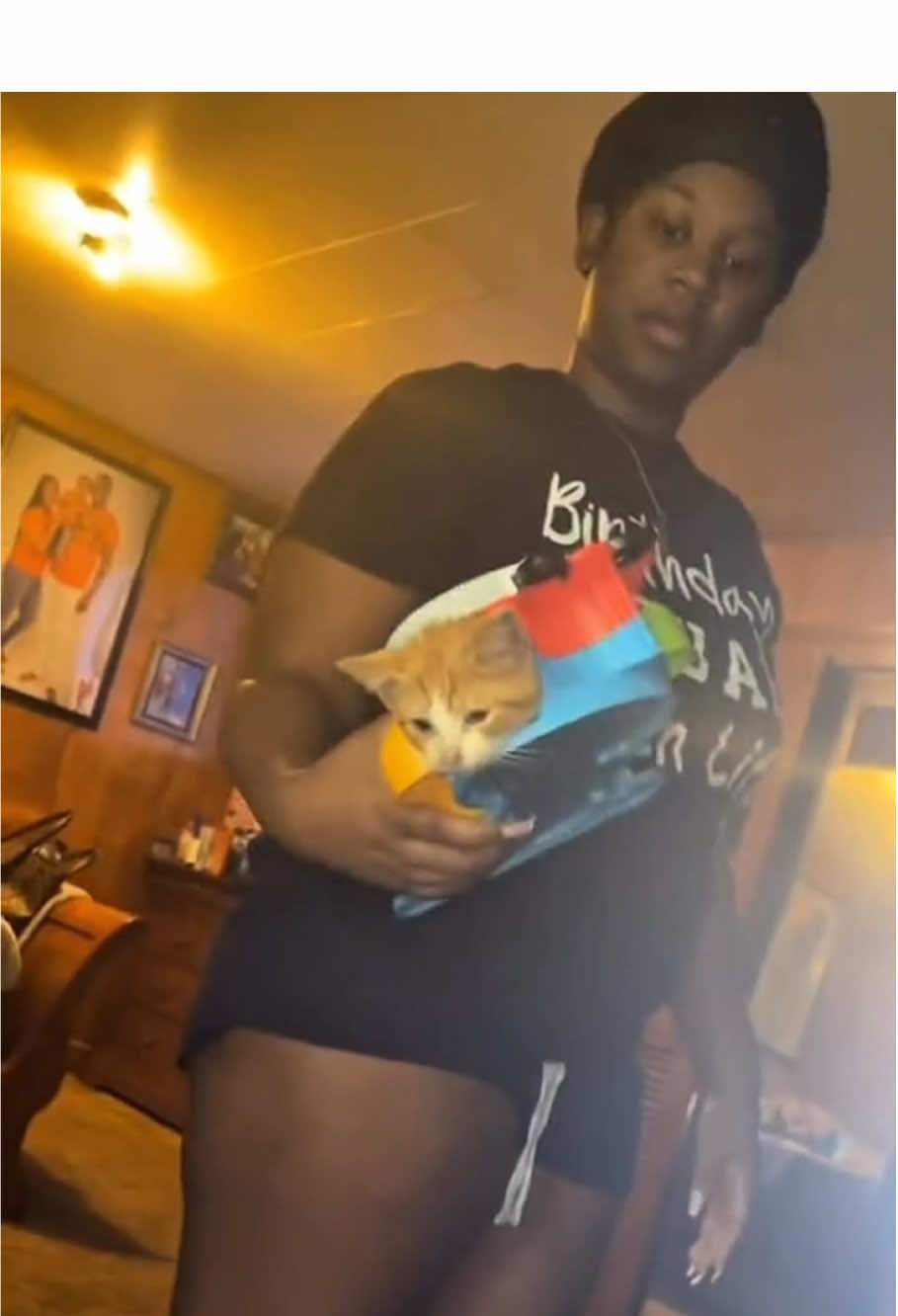 Orange cat 🐈 #cat #catsoftiktok #funnycat #catlover #fyp 