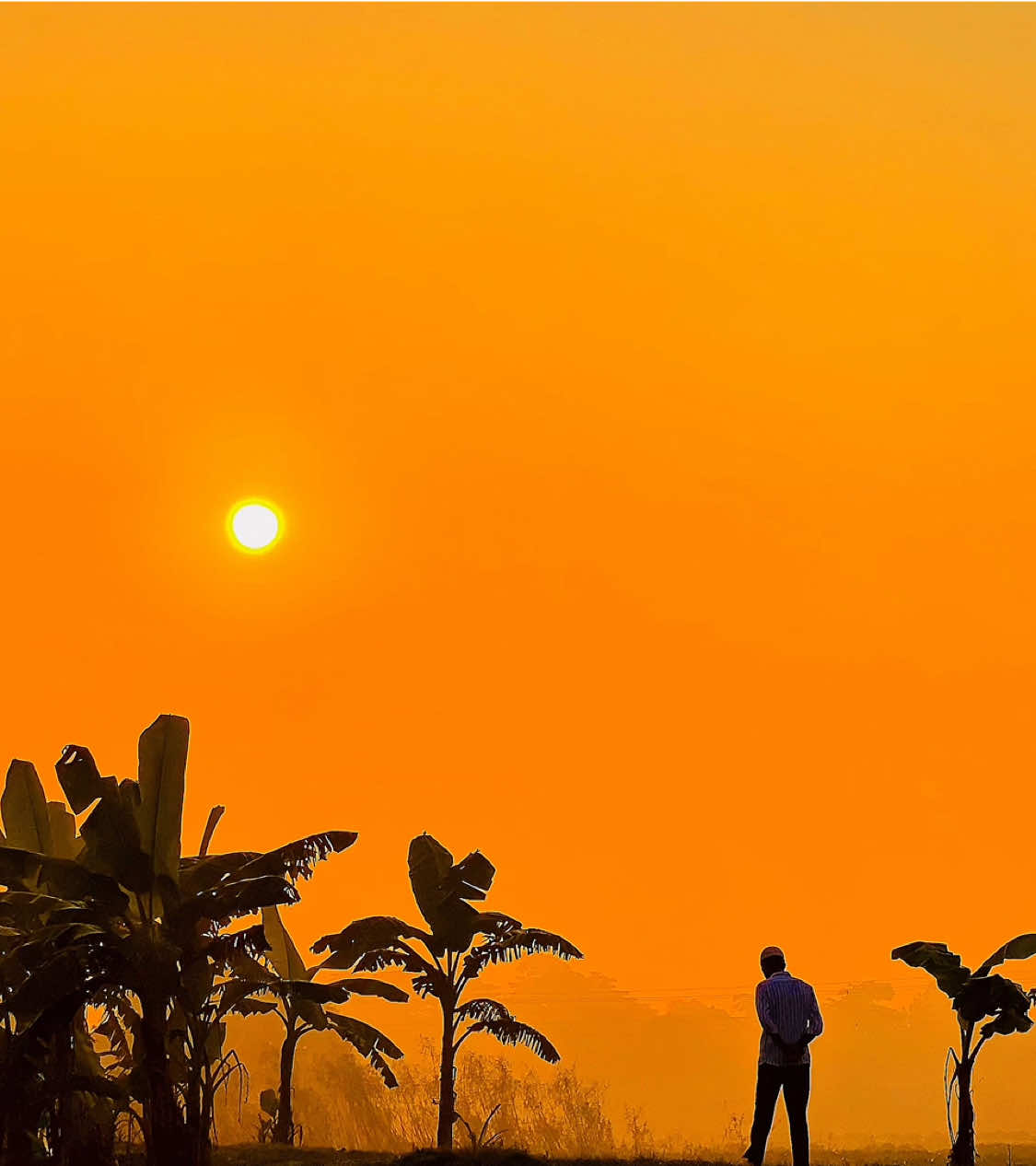 -//- রব তোমায় না দেখলেও তোমার সৃষ্টি দেখে আমি মুগ্ধ হই বারবার...!!🤲🥹 #repost #islamic_life_style #এসো_ইসলাম_এর_পথে_চলি🤲🕋 #আনিসুর_রহমান_আশরাফী💖💖 #ownvideo 