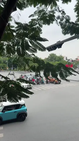 Chill dã man 100điểm ☕️ #haiphong 