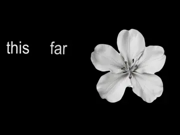 Needy// #arianagrande #lyricsvideo #neverszx #foryou #lyrics 
