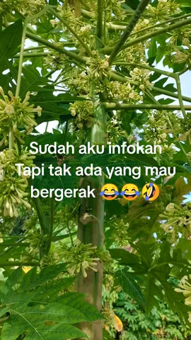 #fypppppppppppppppppppppppp #buatyangmaumauaja