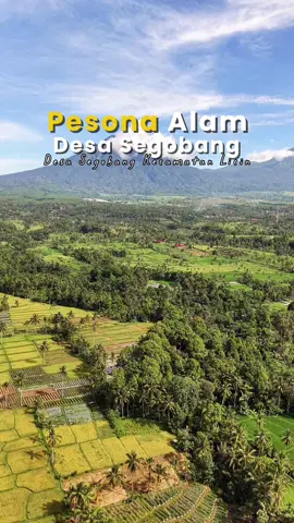 Inilah Desa Segobang, Kecamatan Licin 🌿 Desa di lereng Gunung Ijen yang punya pesona alam menakjubkan! 🍃 Udara sejuk, pemandangan hijau, dan kehidupan pedesaan yang masih asri banget 🌾 Yuk jelajahi keindahan ujung barat Banyuwangi bareng kami! 💚 #DesaSegobang #KecamatanLicin #Banyuwangi #PesonaLicin #ExploreBanyuwangi       