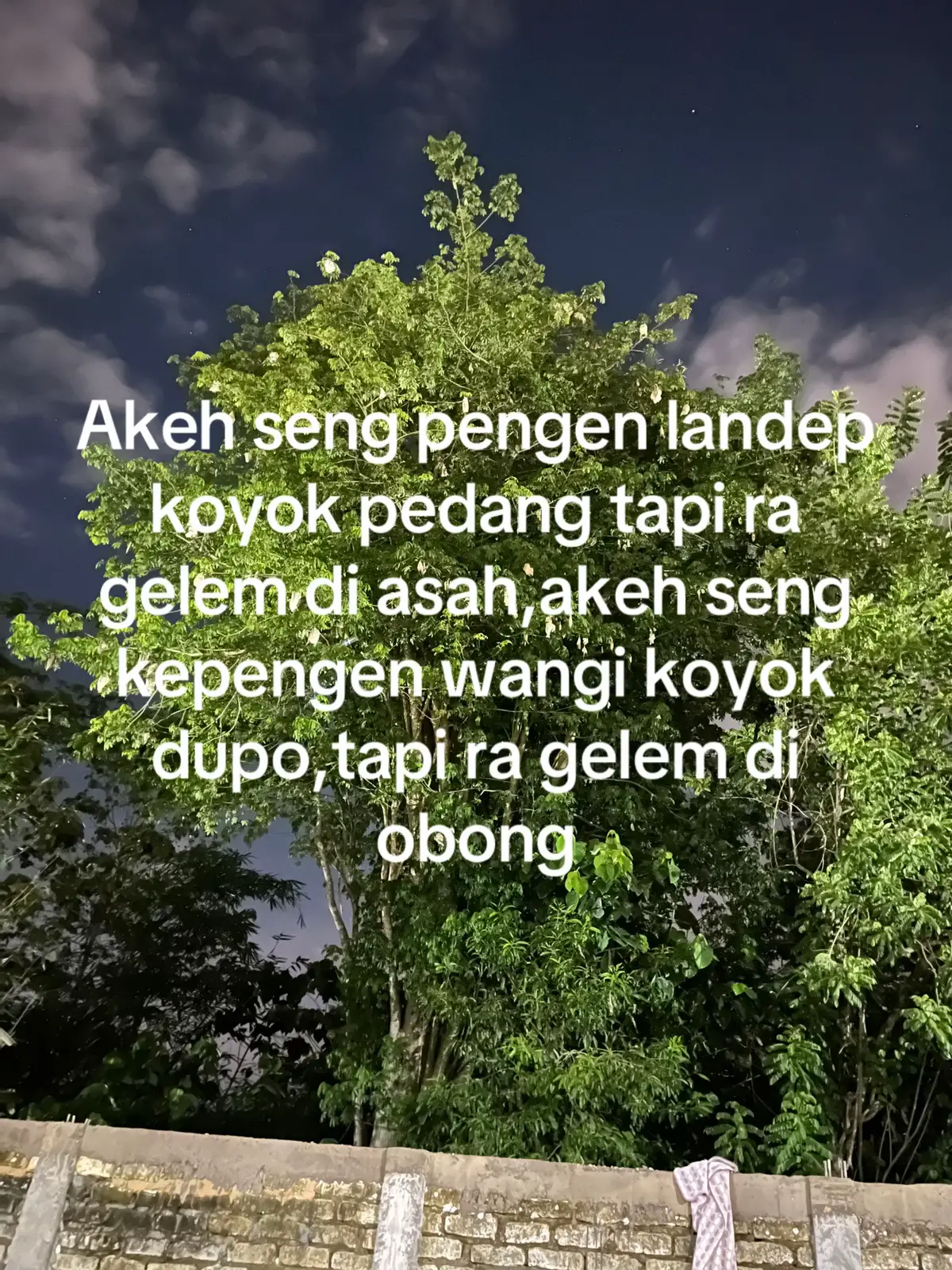 Teruslah latihan yang keras,karna musuhmu tidak akan takut dengan kaos sangarmu itu#ikspikerasakti_indonesia #ipsiindonesia #trend #fyppppppppppppppppppppppp 