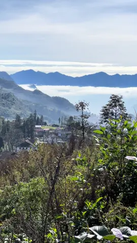 Sapa mùa săn mây đến rồi mn đi thăm quan alo cho e Đức nhé #@338929852