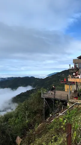 Biển mây Tà Xùa sáng 7/11 #xuhuong #thoitiettaxua #bienmaytaxua 