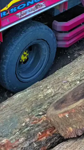 redy di jepara ndorr.  #sopirtruckindonesia🇮🇩 #giga #isuzu #fypage #ftypシ 