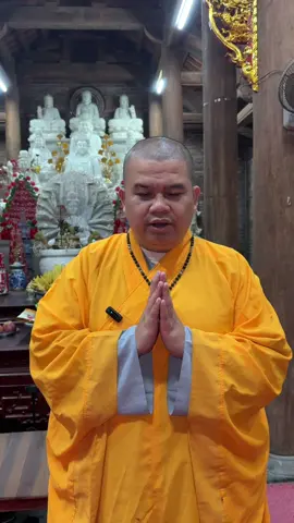 Ngưỡng nguyện Hồng Ân Tam Bảo gia hộ cho đại chúng mạnh khoẻ bình an ạ. #thichkhaiquang #chuathachlong #thiendzitaytang #samnamnuidanh #comdeo 