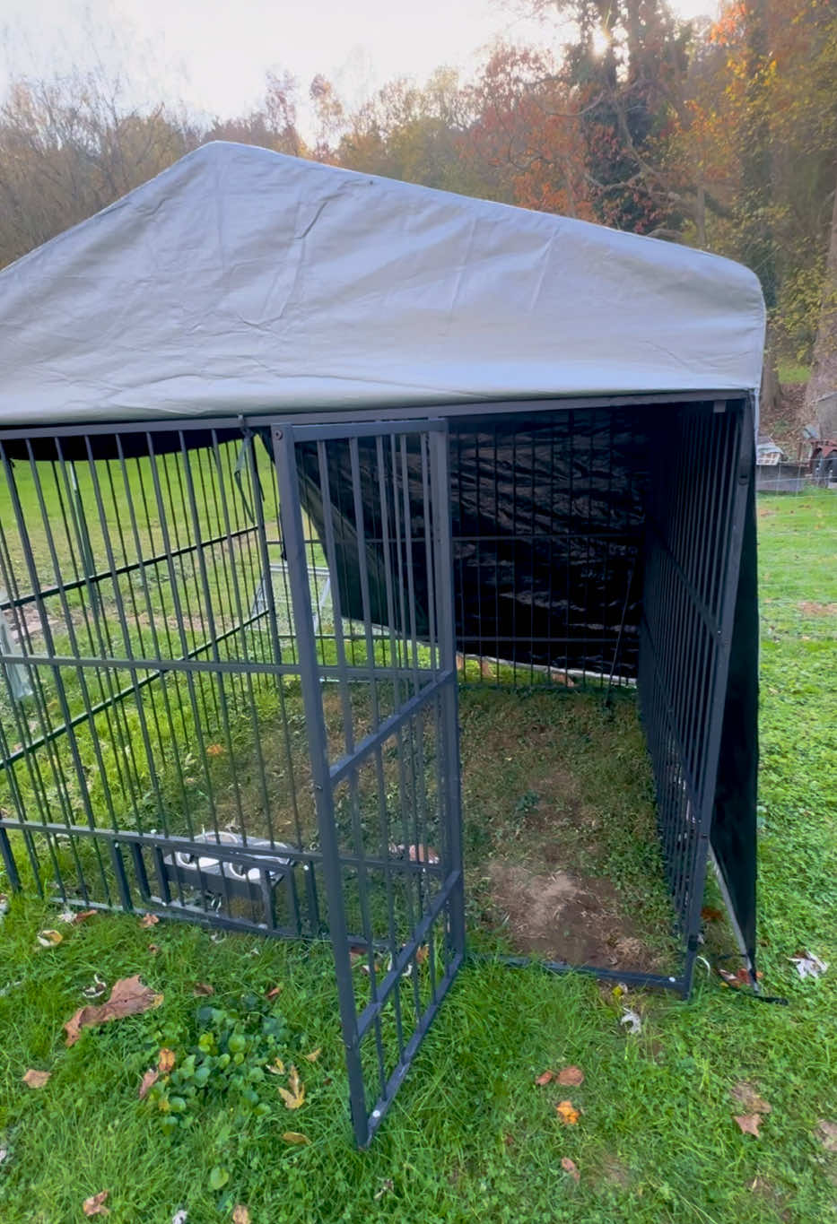 This outdoor kennel is perfect for larger dogs or smaller, of course we use it for a birdhouse, Our dogs Live inside.. ##dogs ##Outdoors ##chicken##kennel##dogcage