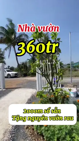 #nhavuon #datvuon #xuhuong #vuontraicay #datnengiare 