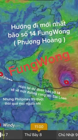 #apthapnhietdoi #xuhuongtiktok #bao #windy #fyp 