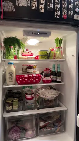 long awaited savoury girl fridgescaping / set up 💋 #savourygirl #girldinner #snackplate #fridgeorganization #fridgescaping 