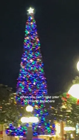 She’s perfect to me #waltdisneyworld #magickingdom #disney #countdowntochristmas #merrychristmas 