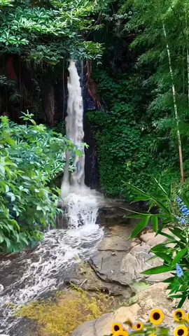 Nature Sound for Relaxation 103 Flowing Water #short #watersounds #flowingwater #naturrelaxation 