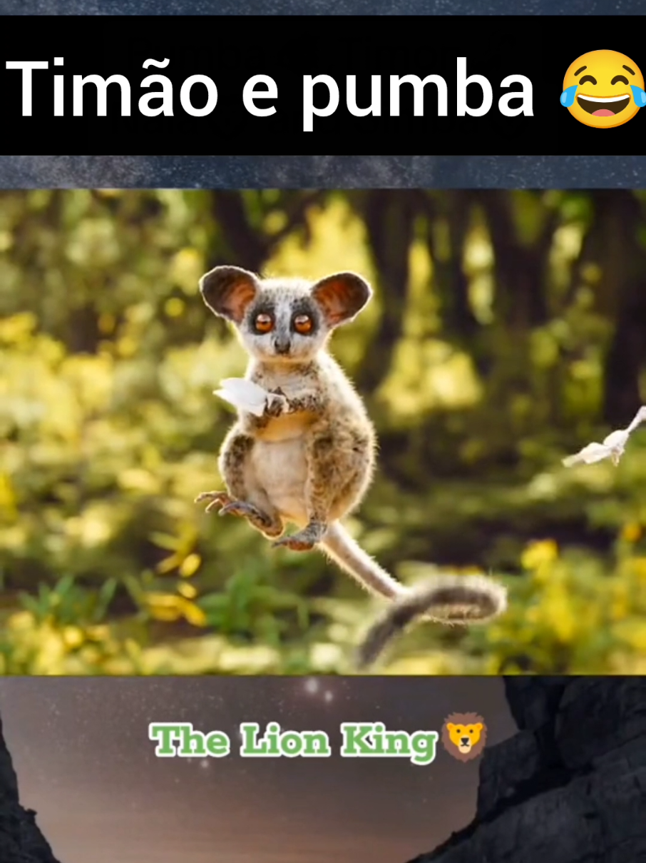 timão e pumba 😂