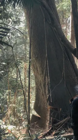 part 2 #timberboy #gengbalak #woodproject #fyptiktokviralシ 