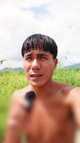 #bothucvat #chanhmuoihat 