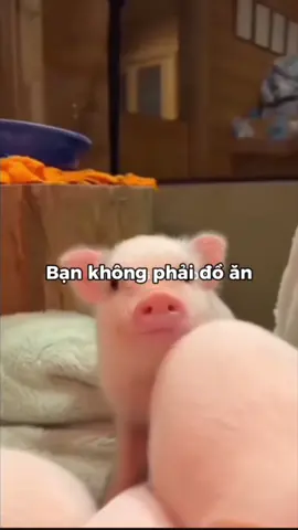 chú quang với cô ngân69 làm gì vậy💔 #fyp #meme #xh #viral #aldi