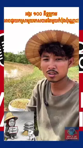 «អង្ករ ១០០ គីឡូក្រាមអាចដោះដូរបានតែស្រាមួយកេសប៉ុណ្ណោះ!» កសិករត្អូញត្អែរពីតម្លៃអង្ករទាបដែលធ្វើឱ្យពិបាកក្នុងការចិញ្ចឹមគ្រួសាររបស់ពួកគេ ដោយជំរុញឱ្យកុមារគិតឱ្យបានហ្មត់ចត់មុននឹងចំណាយលុយឱ្យឪពុកម្តាយ។ #cambodia🇰🇭 #ហ៊ុនសែន #hunmanet #ទាហាន #HunSen 
