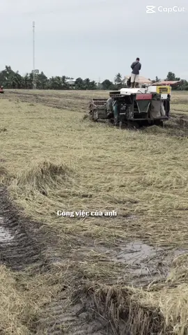 #xuhuongtiktok  gần Tết rùi cố cày thôi ea ơi @Khang Bùi707 @Văn Ngoãn @Thão DV @hải Đen @Huyen Huynh  @Khang Ngo #xhhhhhhhhhhhhhhhhhhhhhhh 