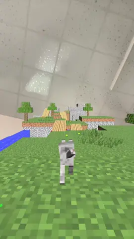 Mấy bác chơi thử cái này chưa #creatorsearchinsights #Nublê #thinhhanh #hieu@0809