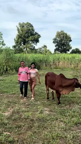 ดื้อจริงๆเลยนะ#พิมพิ์ผกาศรีธาตุ #สาวน้อย 