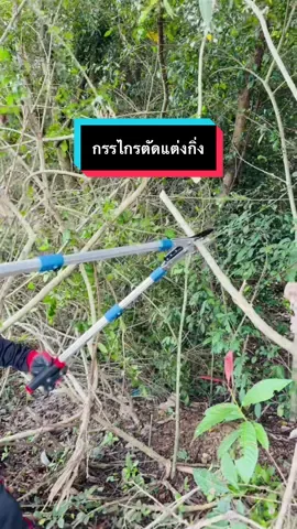 #กรรไกรตัดแต่งเก่ง#masaRu