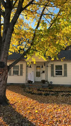 Taking in the last of fall 