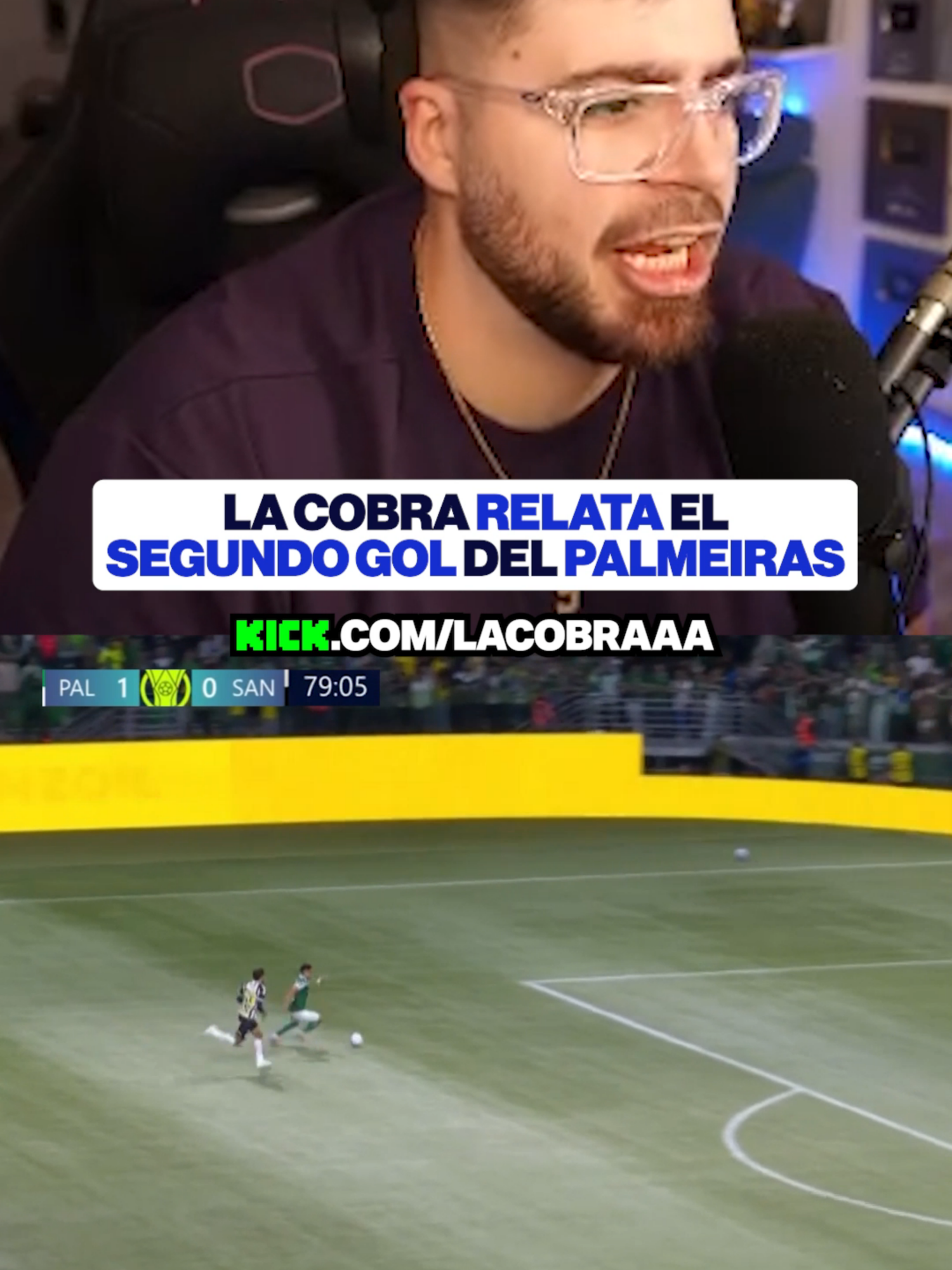 PALMEIRAS 2-0 SANTOS #lacobra #lacobraaa