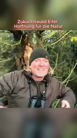Zukunftswald Eifel Hoffnung für die Natur#Tierfilmer #Dokumentation #MehrWissen #wildlifephotography #fyp