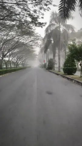 Tưởng đâu đang ở đà lạt không á 😄 đông đến rồi mà vẫn một mình 🤦‍♀️#70tayninh #xuhuongtiktok 