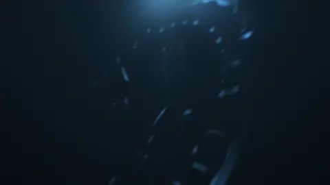 Trường Sĩ quan Chính trị 🇻🇳🌻 #intrologo12 #logo #intro #siquanchinhtri #viral 