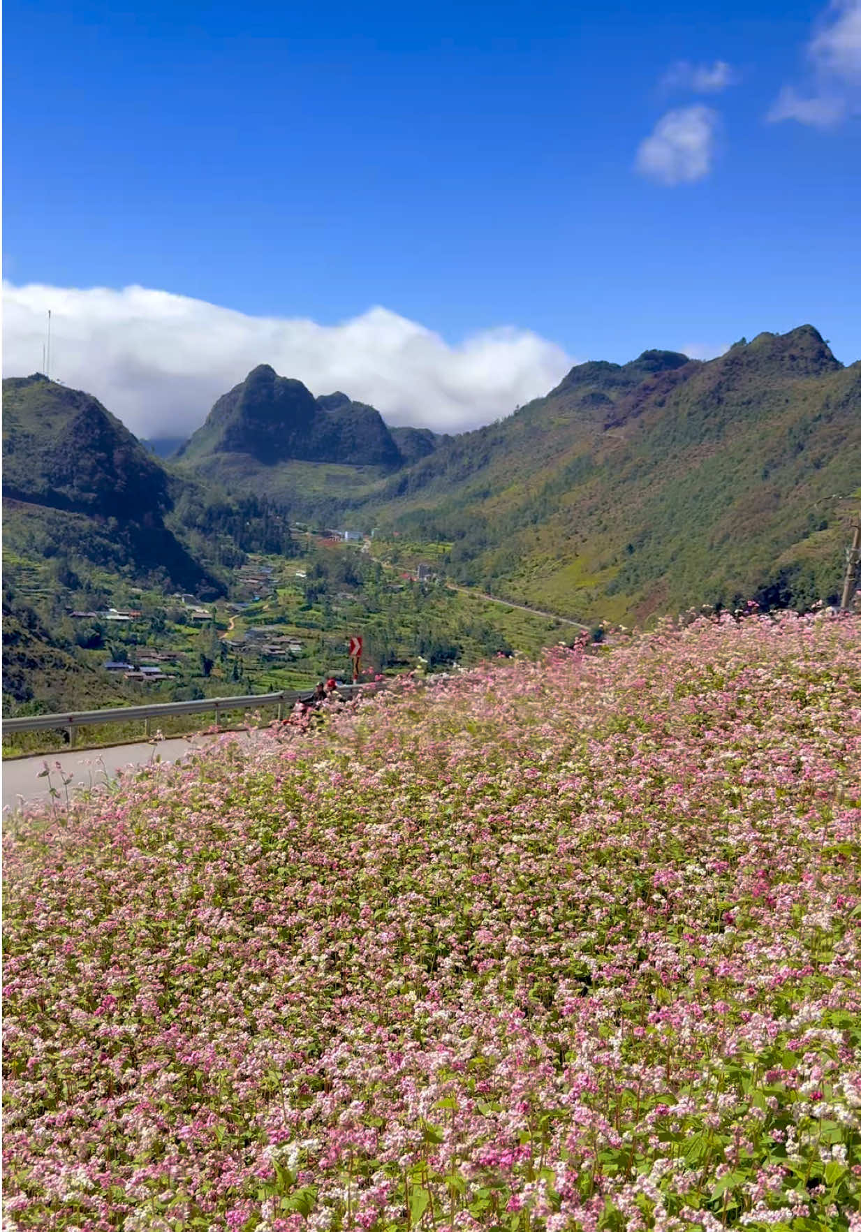 Xin phép là không chỉnh màu, lên Hà Giang cứ giơ máy lên là auto có ảnh đẹp nha các bạn 🥰🥰🥰 #HaGiang #dongvan #tamgiacmach #xuhuongtiktok #travel 