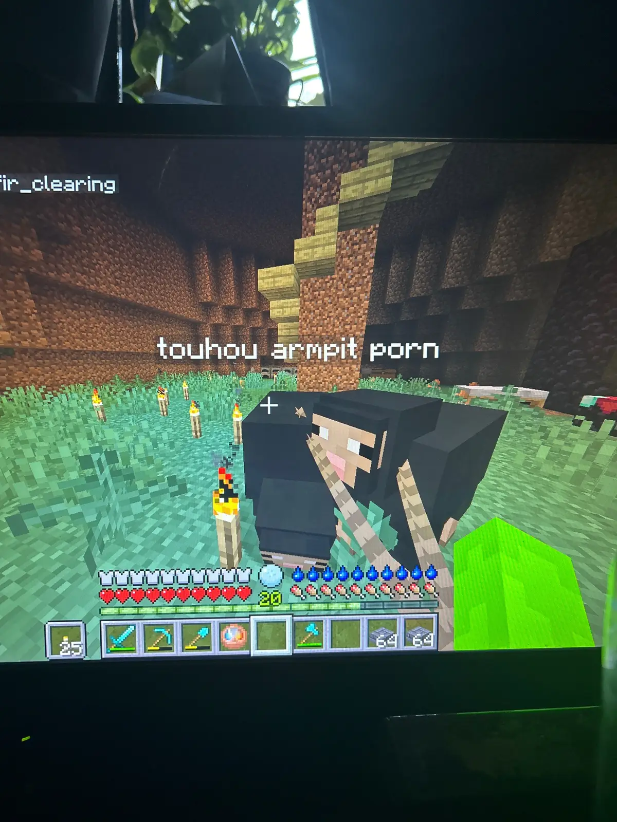 He got one shot by my axe on accident#Minecraft#touhou 