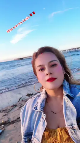 #creatorsearchinsights #usa🇺🇸 #tiktok @Krishna Basnet589 