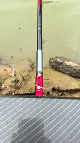 ngắm phao cuối tuần thôi các huynh 1 số rồi #cauca #Bachhoathieny450