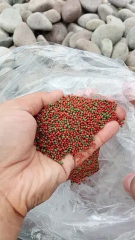 fish food floating pellets 1kg 