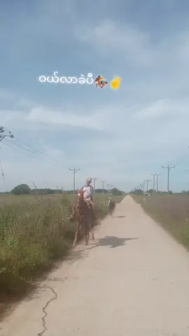 #မြင်းသမားများလေးစားလျက်🙏🙏🐎🐴🏇 #ဒီတစ်ပုဒ်တော့fypပေါ်ရောက်ချင်တယ် #