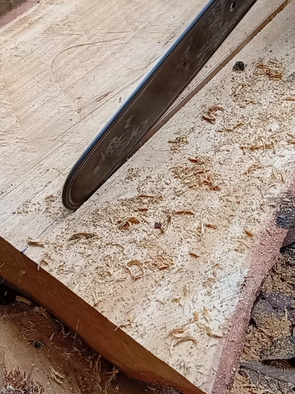 Dangdut satu Kali, Medan..#belahkayu #stihl #husqvarna #oregon #chainsaw 