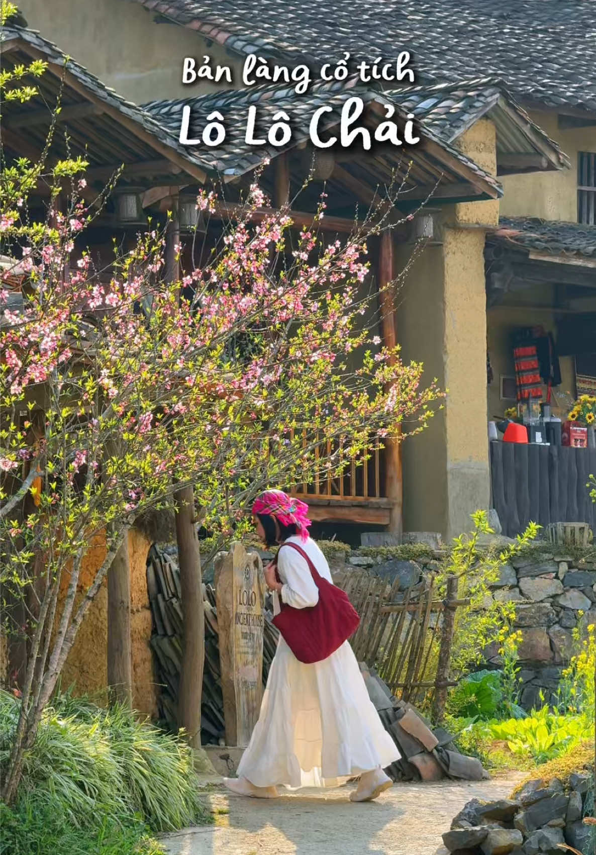 Đi Trốn có 1 đêm ở bản làng cổ tích - Lô Lô Chải, ngắm nhìn bản làng từ trên cao, chậm lại, ngắm nhìn cuộc sống thường nhật của bản làng nằm dưới chân cột cờ Lũng Cú 📍Hà Giang 21-22-23/11 📍Hà Giang 28-29-30/11 #hagiang #ditronkhong #dulich #lolochai 