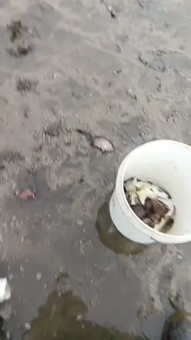 pagi jummat.cari lauk. #creatorsearchinsights #fyppppppppppppppppppppppp #consantanderconecto #fyp #creatorsearchinsights 