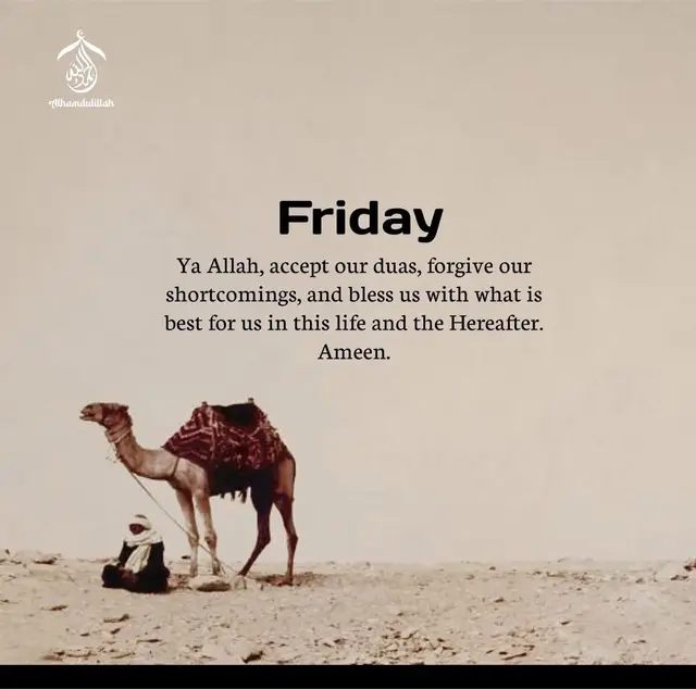 #creatorsearchinsights #fypシ゚viral🖤tiktok 