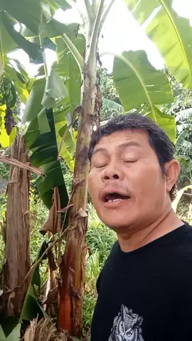 #comedy urang sumedang#tara ngalayanan lalaki lain#ulah poho gaspolkeun