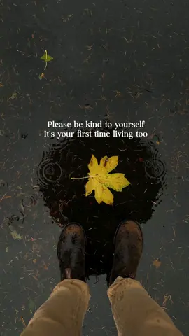 Please be kind to yourself, friend ❤️ Music: All This Time x @From Somewhere Quiet and @Adam Dodson  (Also, anyone else catch the heart at the end?) Get Busy Living 🔆